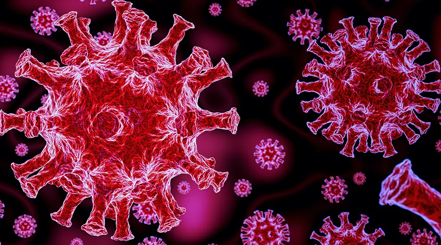 what-is-coronavirus-pandemic